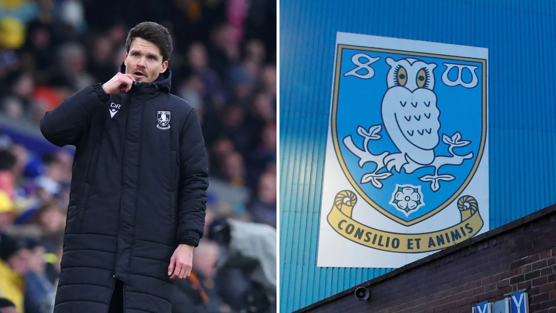 Danny Rohl, HLV Sheffield Wednesday, người có công lớn giúp đội bóng trụ hạng thành công tại Championship.