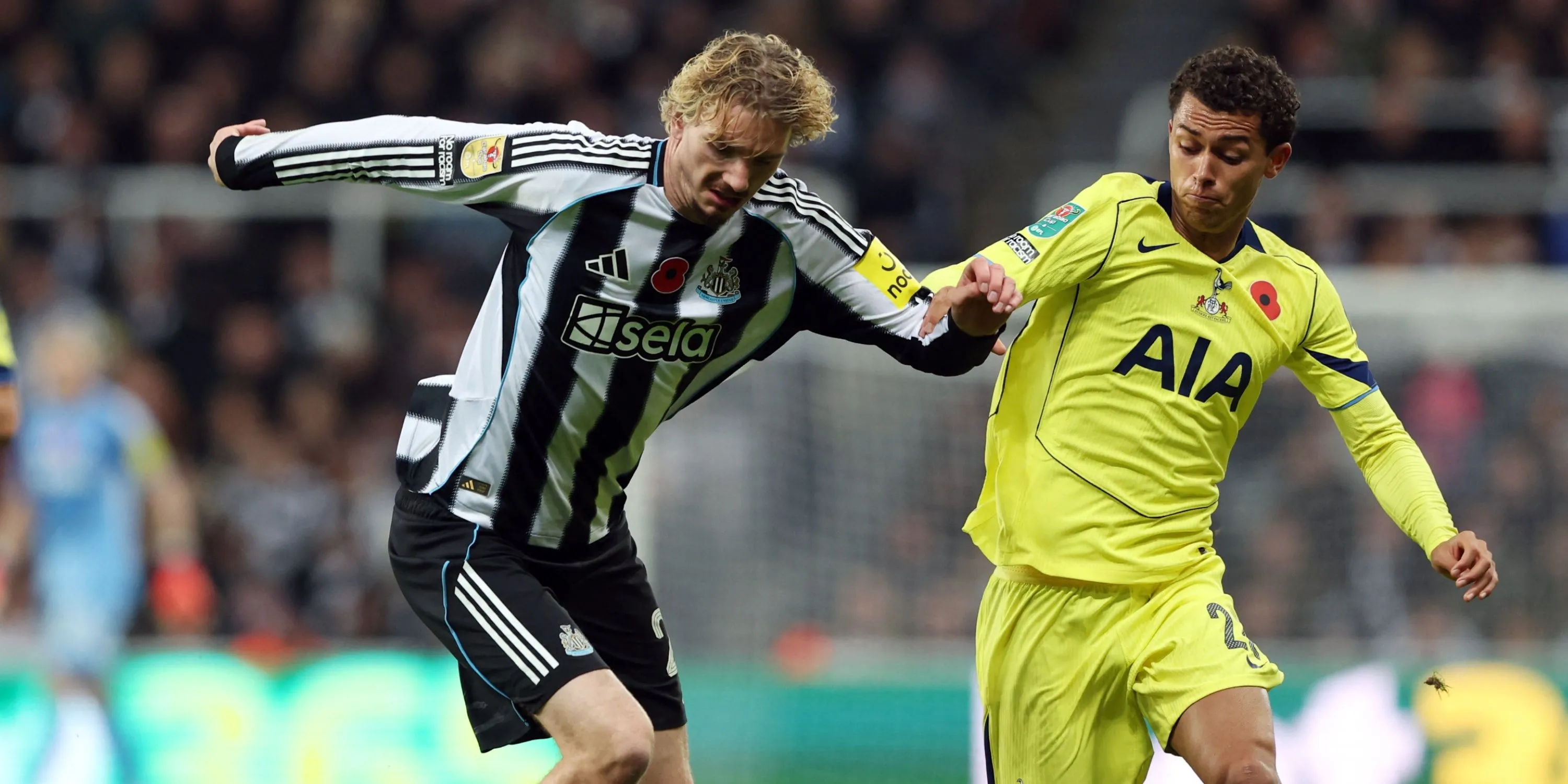 Khoảnh khắc tổng hợp màn trình diễn của Brennan Johnson trước Newcastle